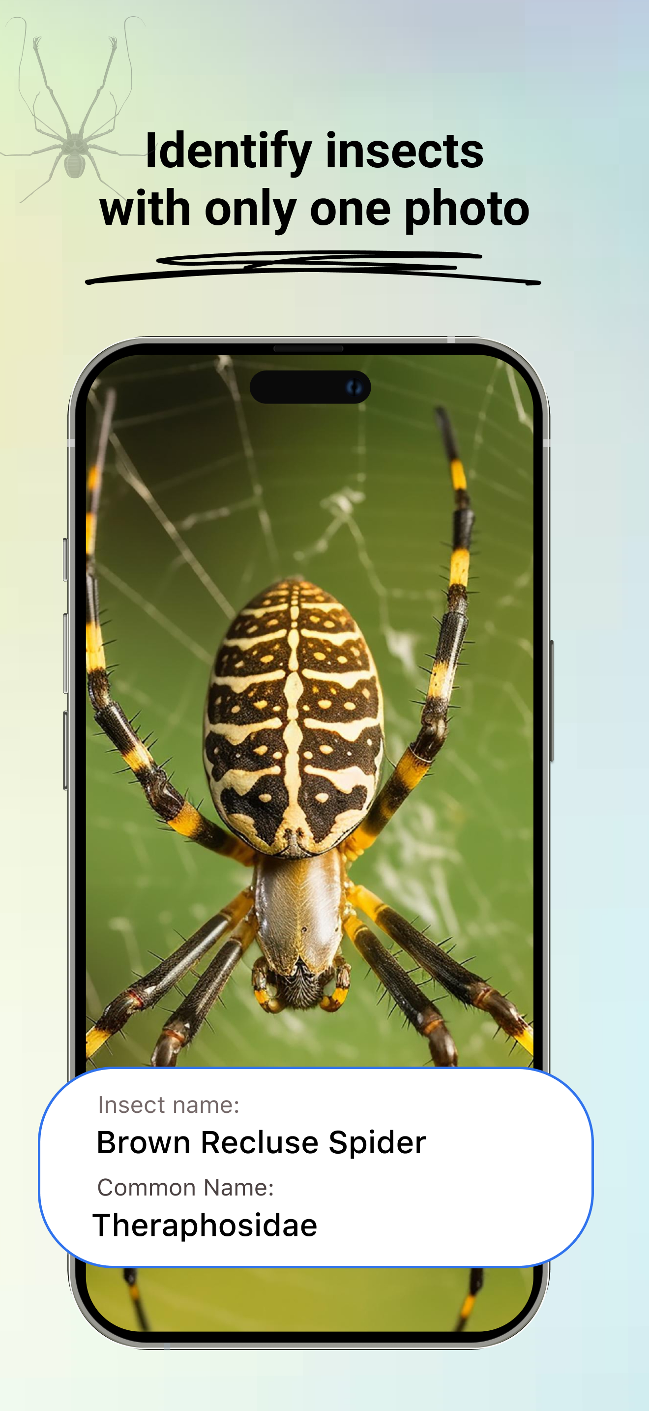 Bug Identifier: Insect Id App