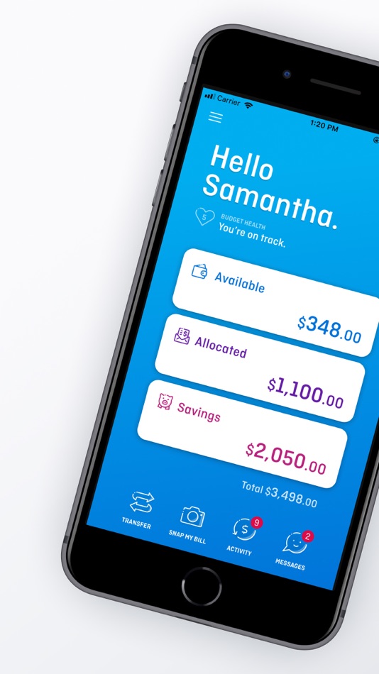 #1. MyBudget Client App (iOS) 由: MyBudget