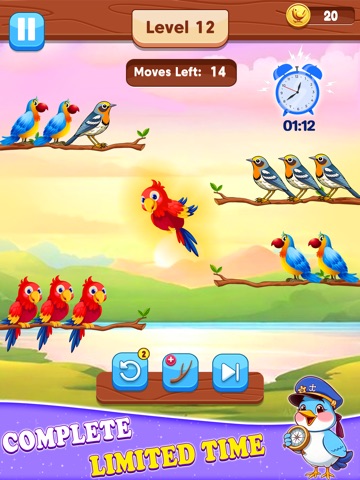 Birds Sort Color Sorting Game iPad screenshot