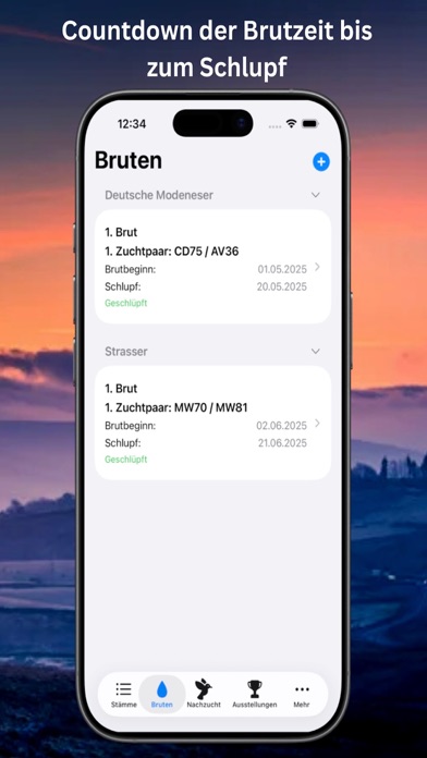 Pigeon Manager screenshot 4