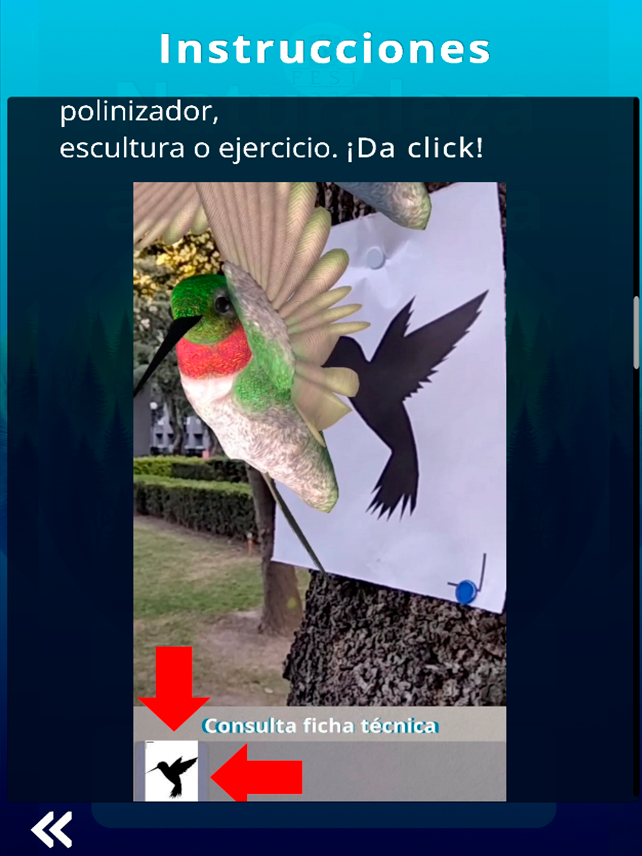 Naturaleza Aumentada