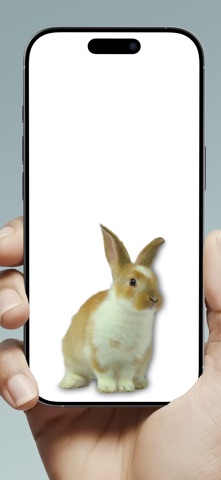Mouse on Screen Scary Joke iPhone screenshot