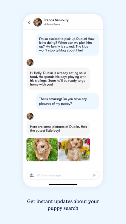 Good Dog: Find Your New Puppy screenshot-4