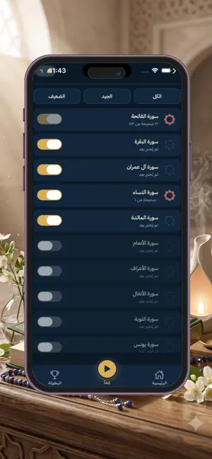 Quran Quiz — Test Your Hifz screenshot 3