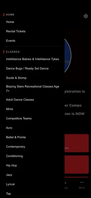 Dance Dynamics Studio -Tbay screenshot 3