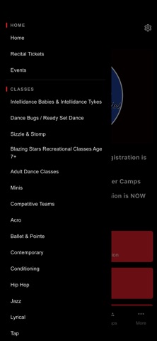 Dance Dynamics Studio -Tbay iPhone screenshot