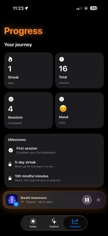 your meditation screenshot