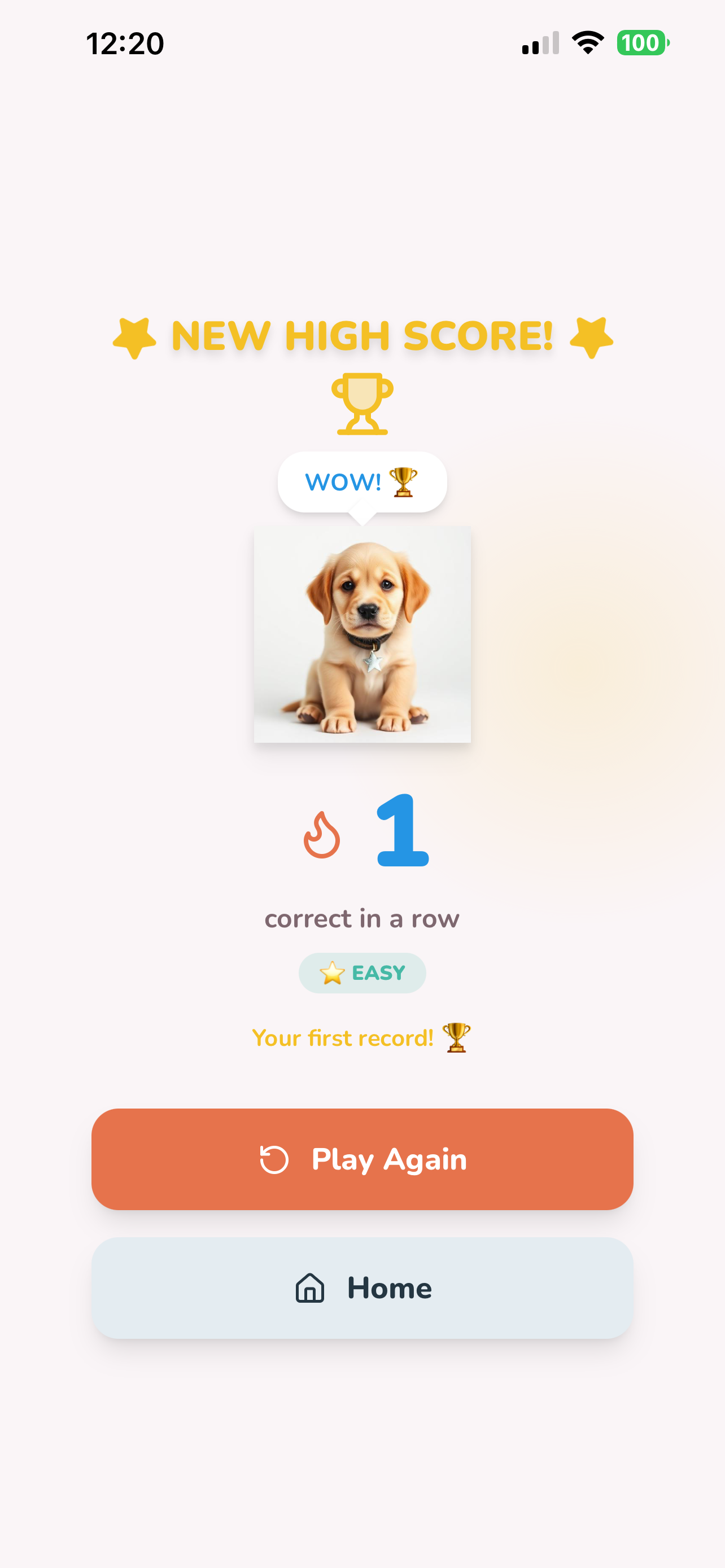 Capital Champ screenshot 5
