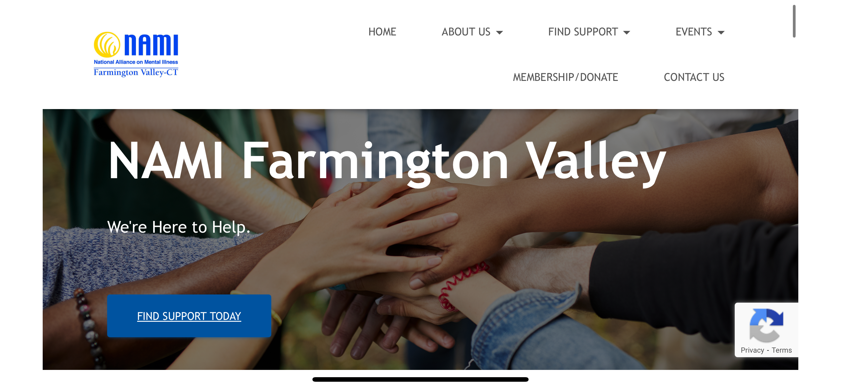 NAMI Farmington Valley, CT screenshot 5