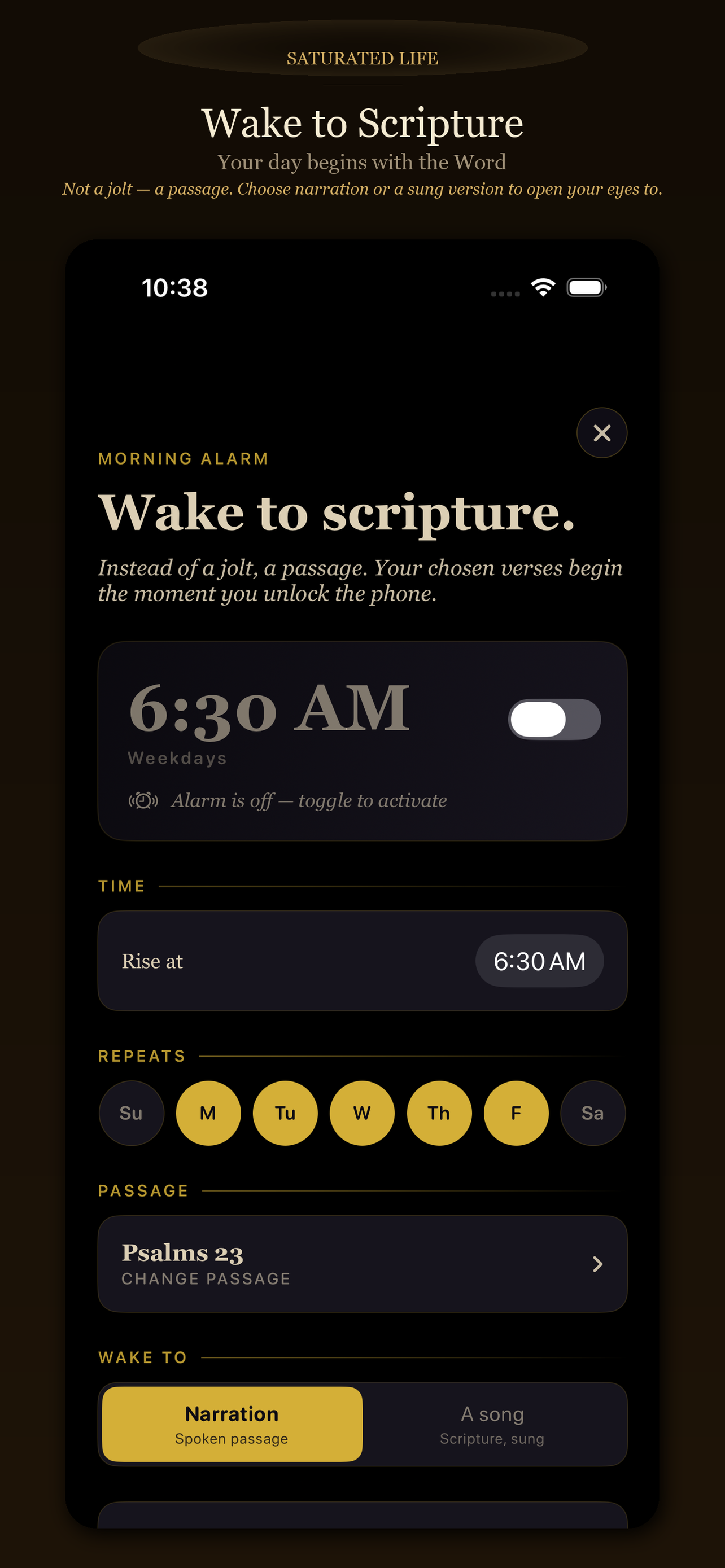 Saturated Life: Bible Music screenshot 6