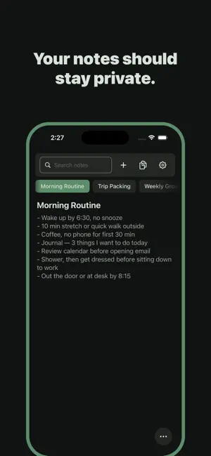 BlinkInk: Private Notes screenshot 1