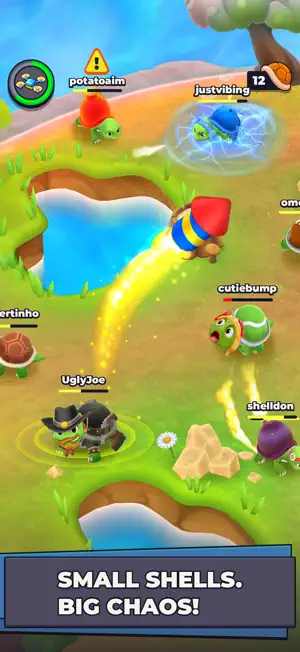 Bumper Turtle screenshot 2