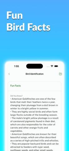 Bird Identifier, Bird Id Screenshot 7 of 10