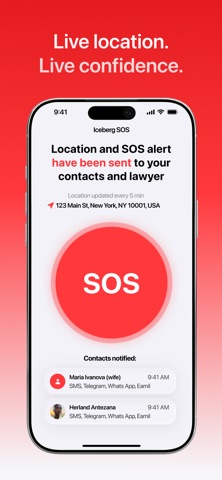 Iceberg SOS screenshot