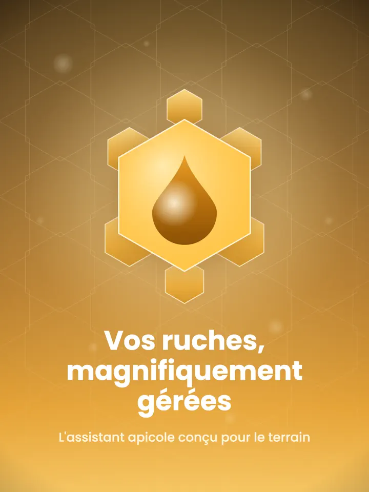 Hivey sur iPad : capture d’écran 1 sur 7