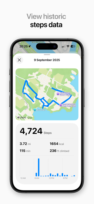 Steps Map: Pedometer App Screenshot 3 of 4