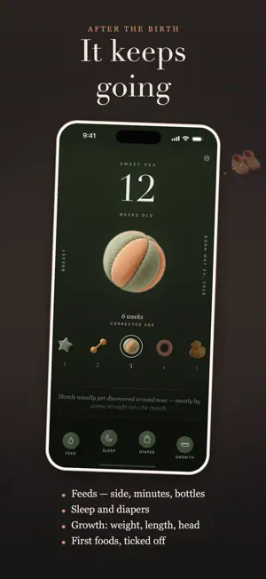 Nanela: Pregnancy, then Baby screenshot 2