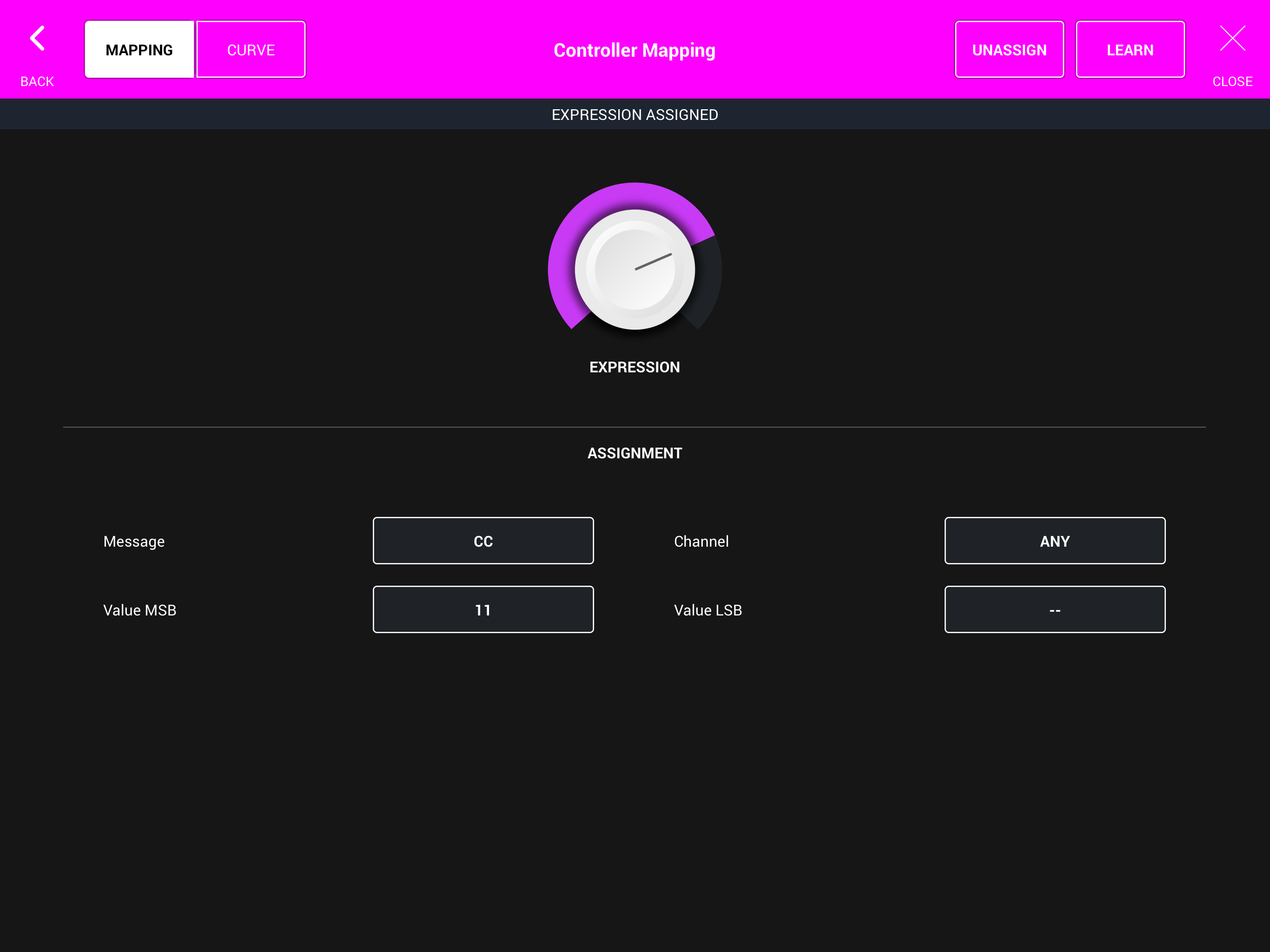 SWAM Trumpet C screenshot 14