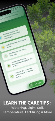 Tree Identifier ID screenshot