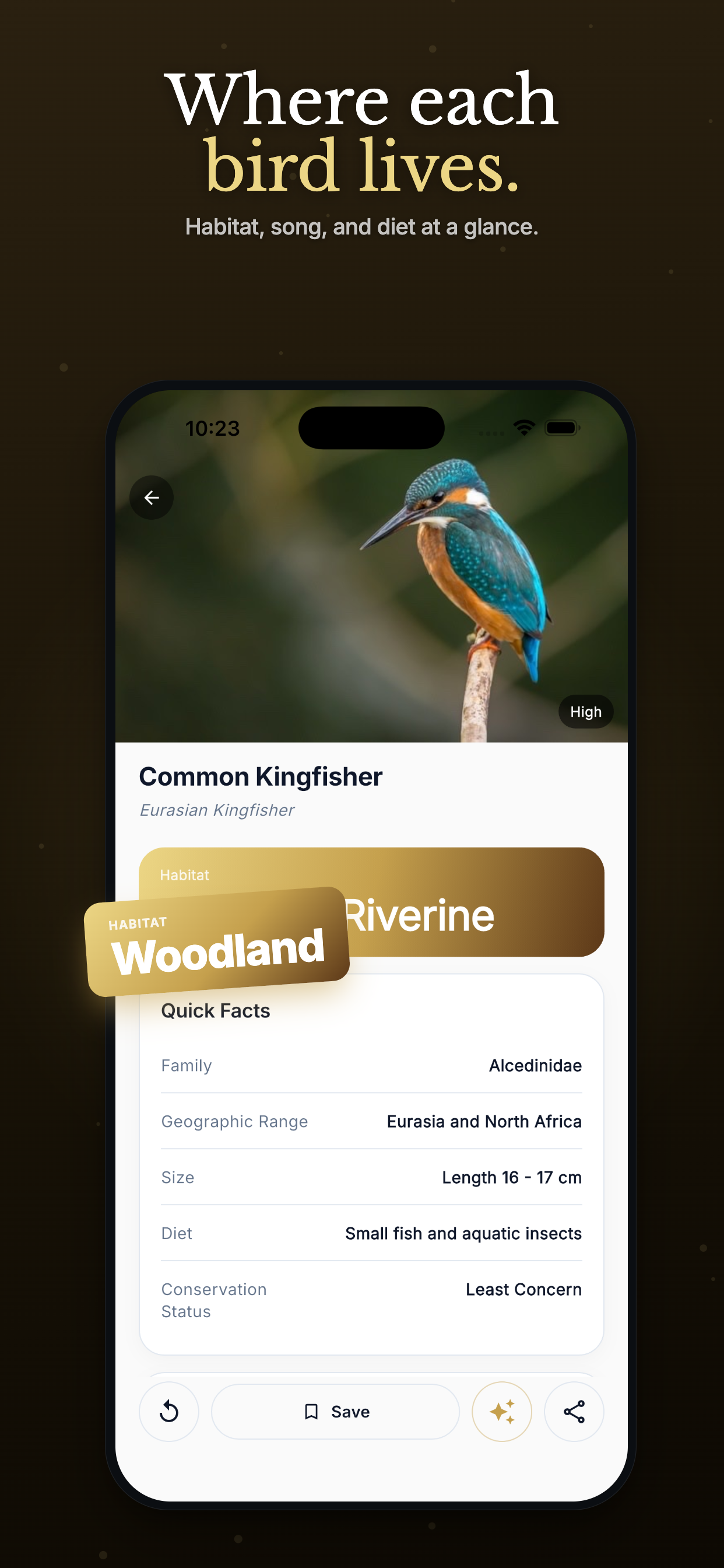 Bird Identifier — Birding ID