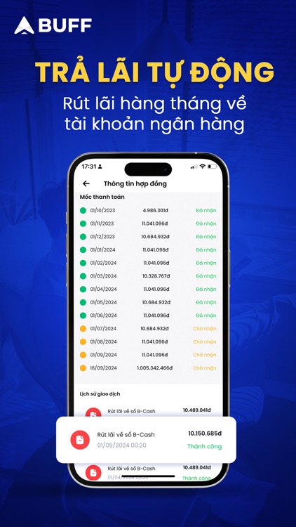 BUFF - Đầu tư và Tích luỹ