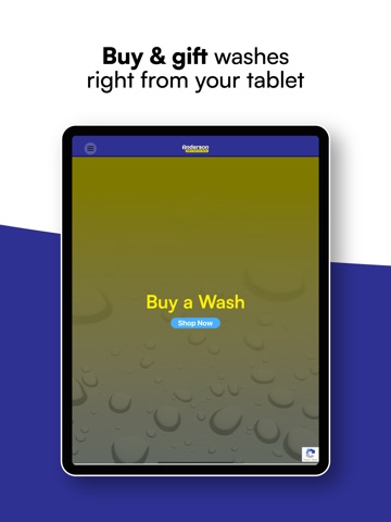 Anderson Ultra Express Wash iPad screenshot