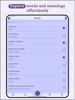 Czech | Czech Dictionary screenshot 10