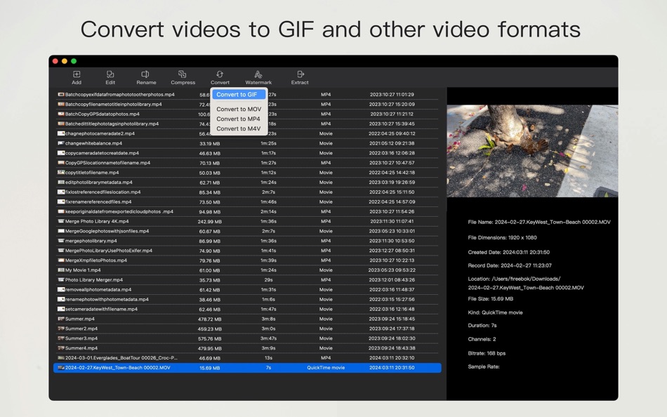 #5. VideoBulk (macOS) 由: 栋 陈