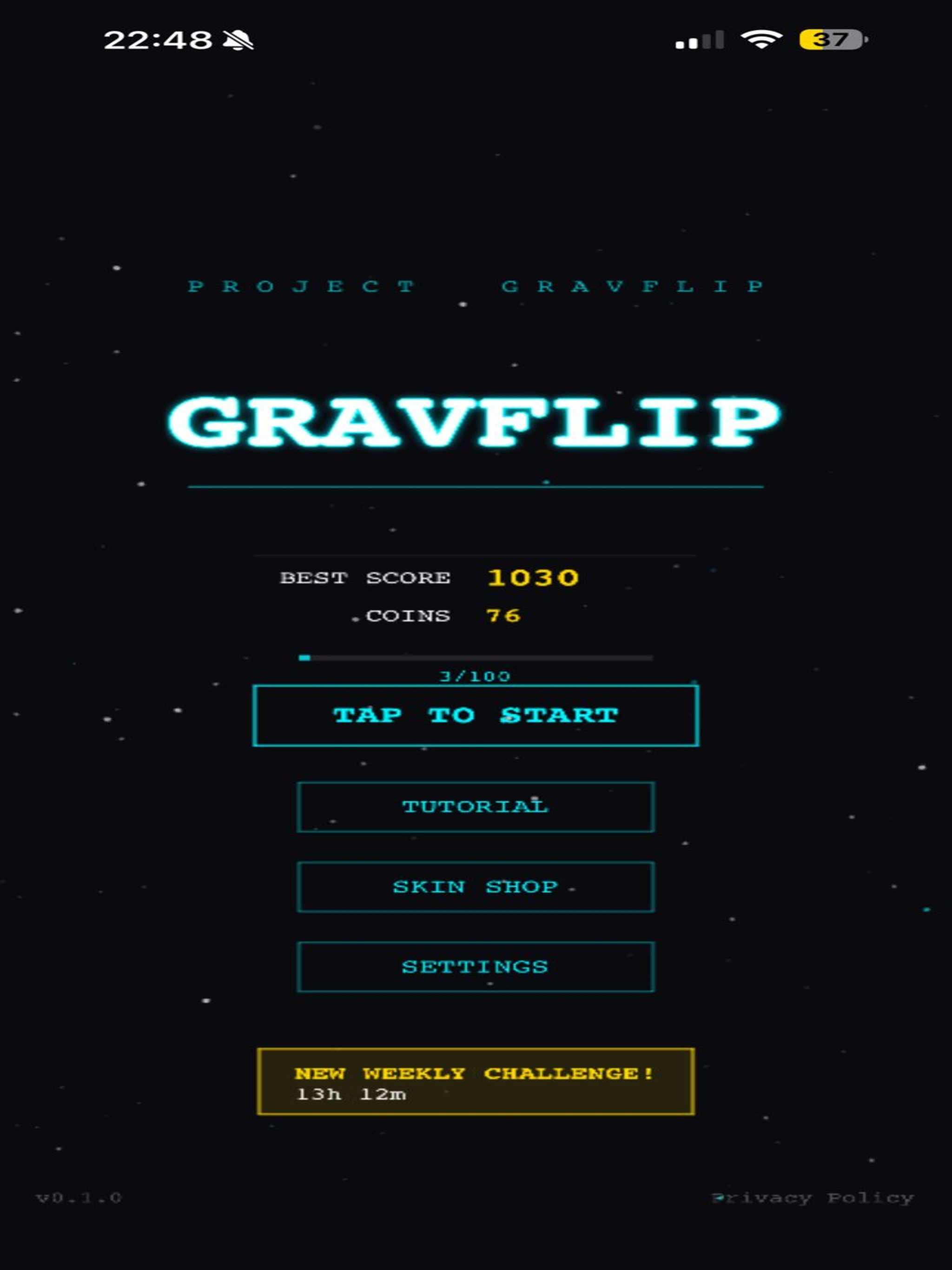 GravFlip screenshot 13