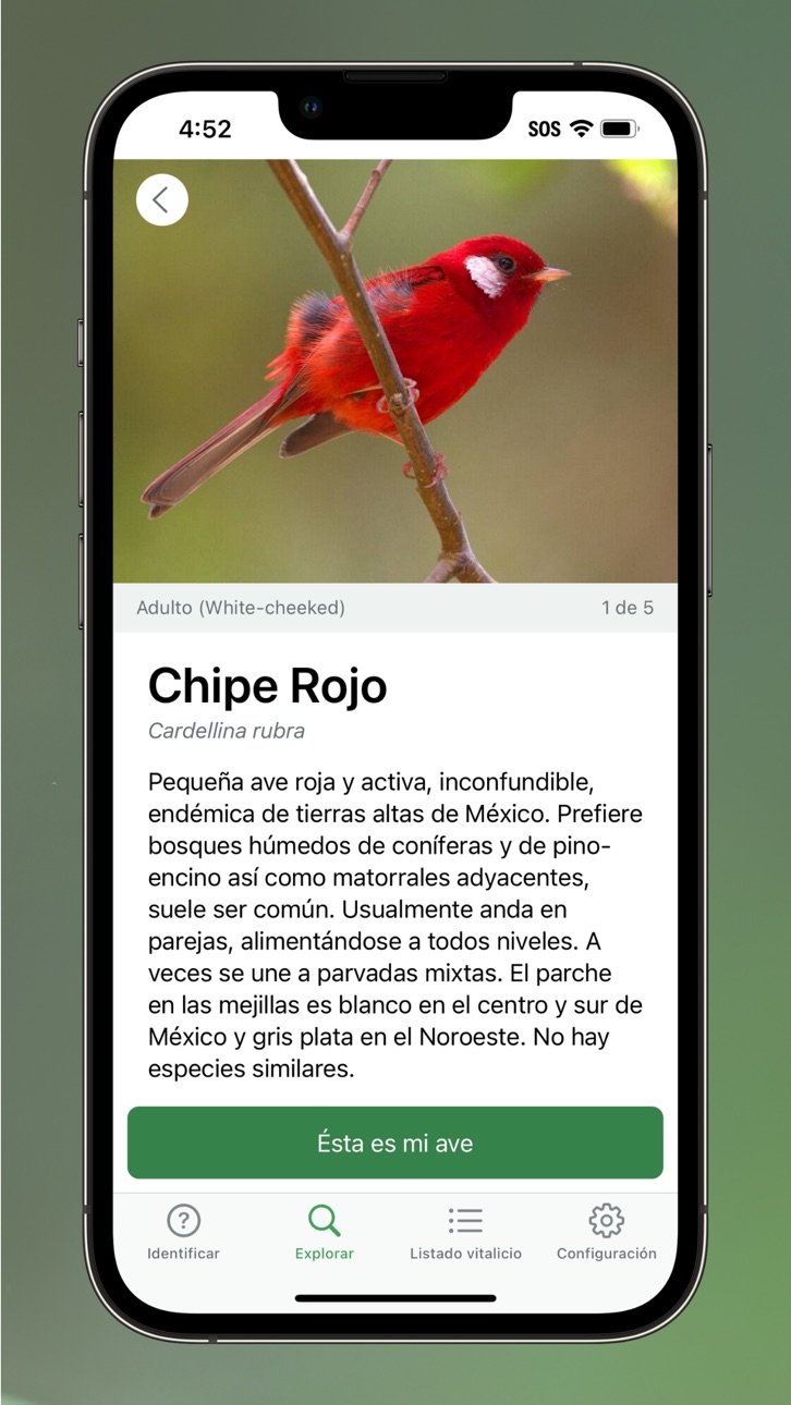 iPhone screenshot