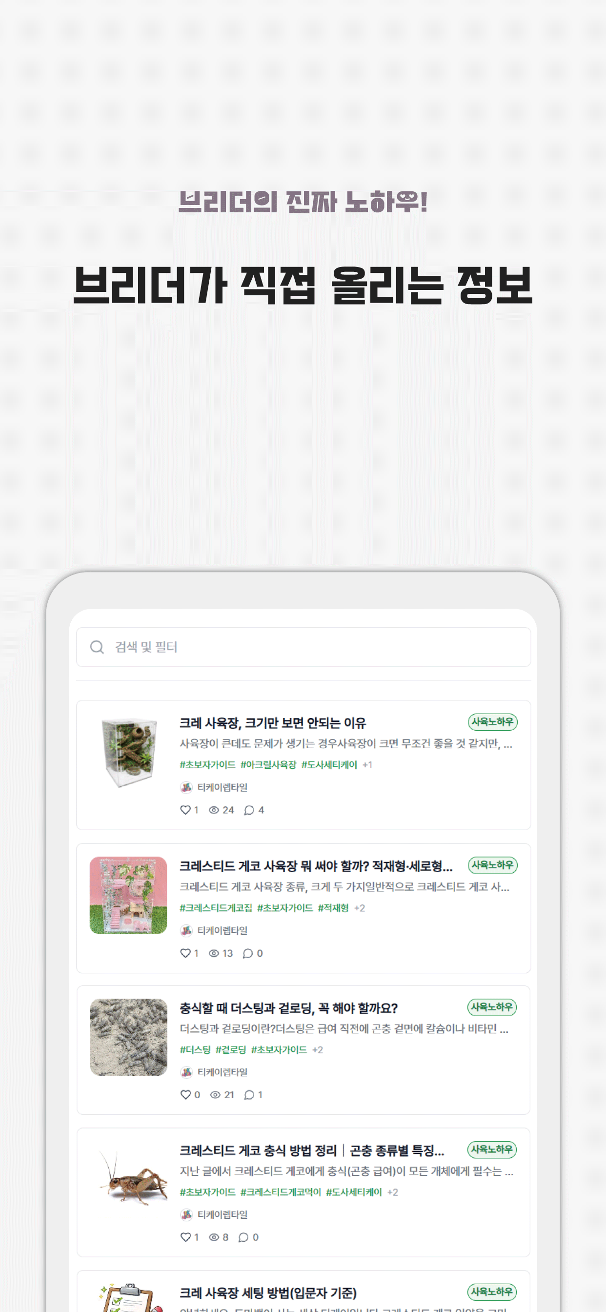 도마뱀이 사는 세상 screenshot 4