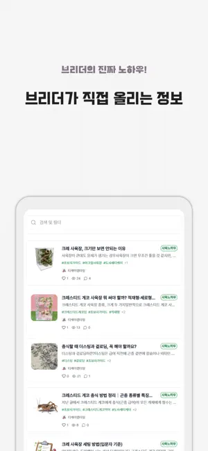 도마뱀이 사는 세상 screenshot 4