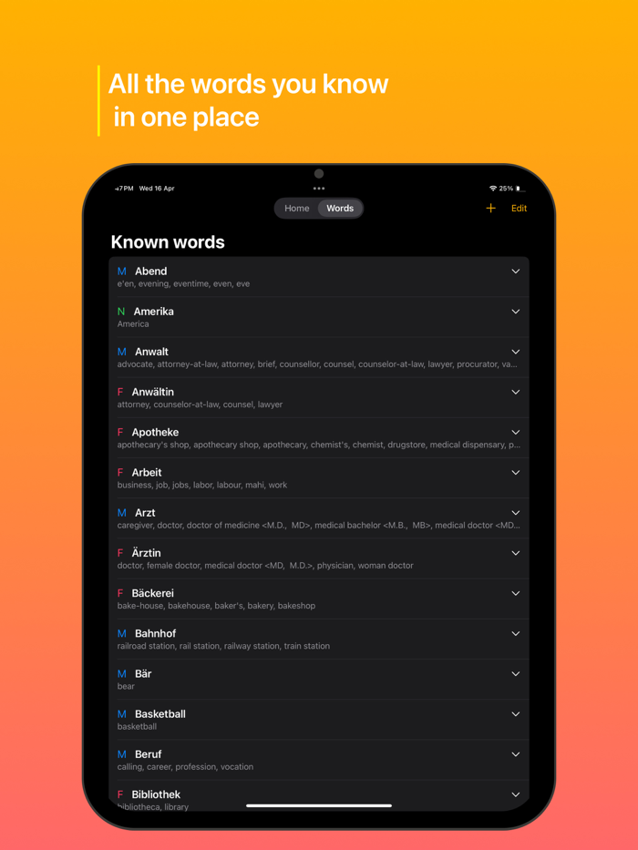 Die Artikel - German Genders