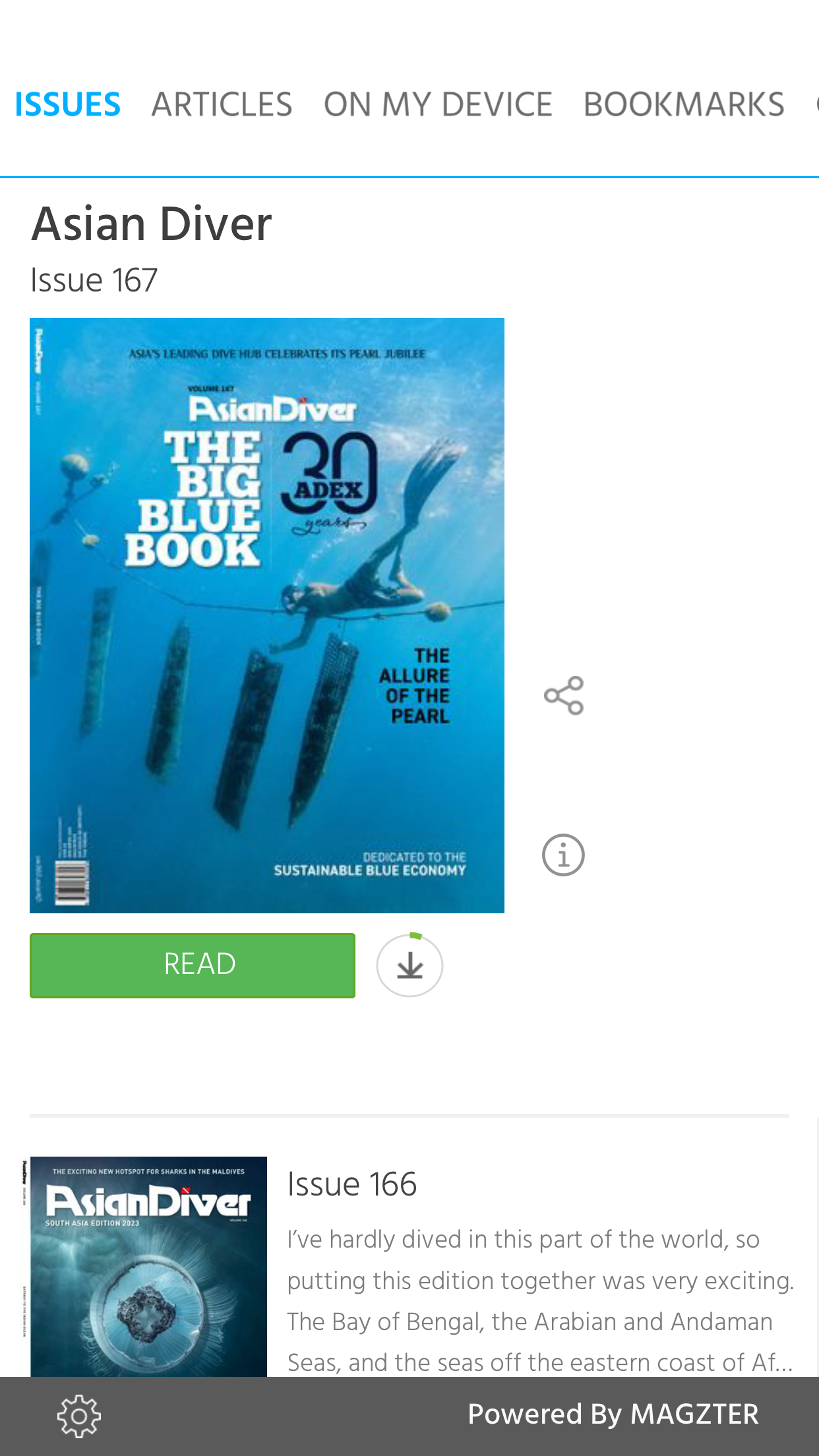 Asian Diver