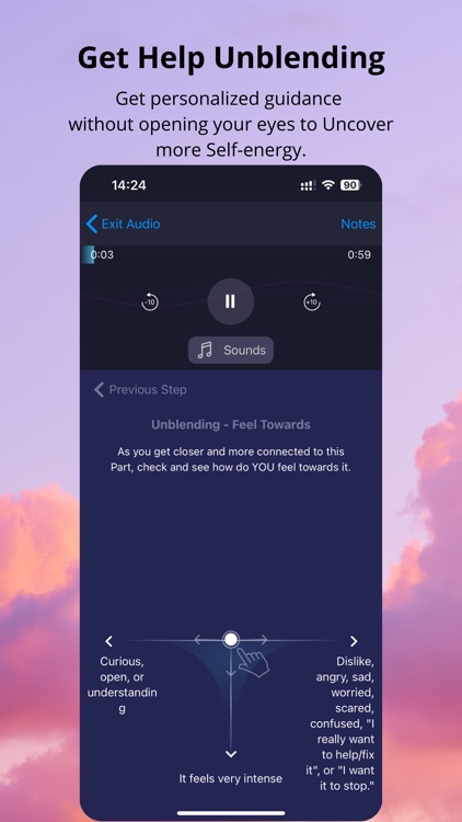 IFS Guide screenshot-3