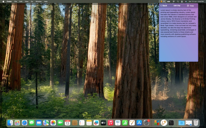 Screenshot #2 pour Copies Savior - Clipboard
