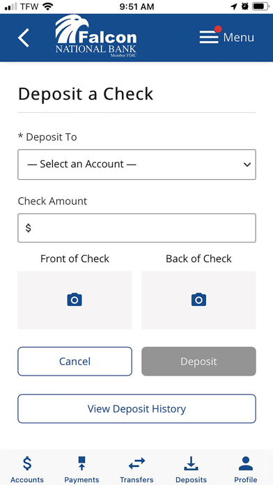 Falcon National Bank Screenshot