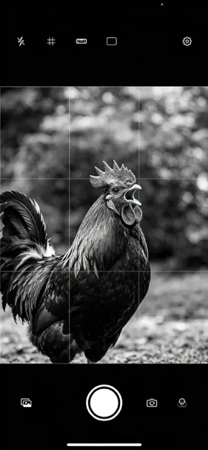 MonoCam B&W screenshot 3
