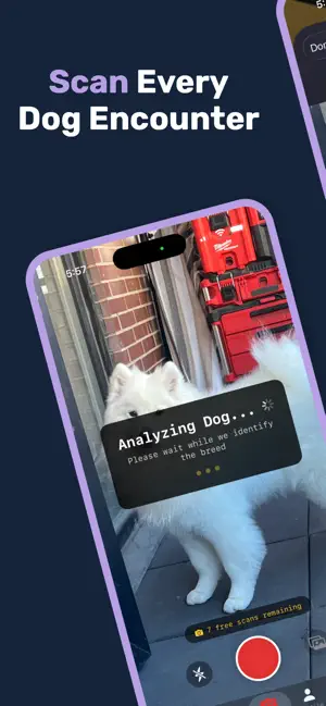 PuppyDex Gamified Dog Scanner screenshot 1