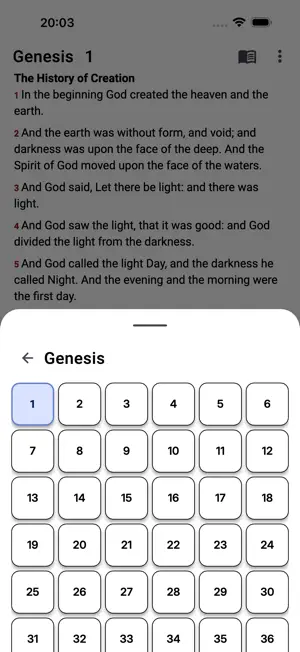 Only Bible App screenshot 4