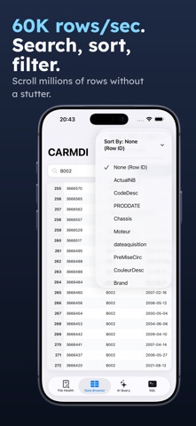 Access Database Viewer: MDB App Store preview screenshot 2