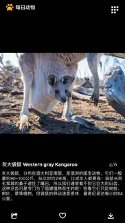 每日动物 iphone resimleri 4