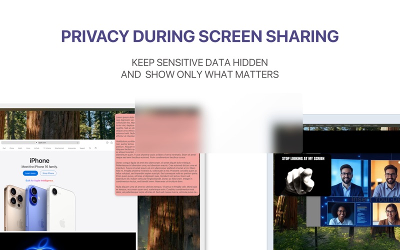 ScreenVeil screenshot