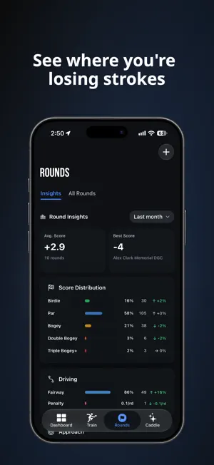 Discmetric screenshot 2
