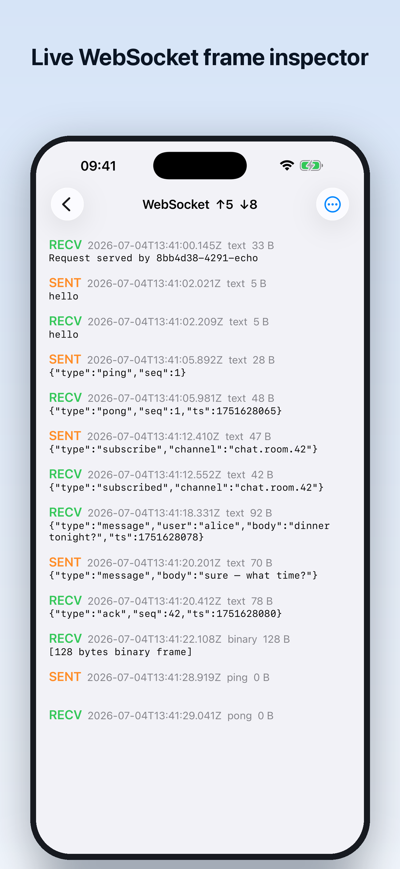 Http traffic capture screenshot 4