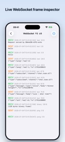 Http traffic capture screenshot