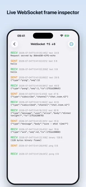 Http traffic capture screenshot 4