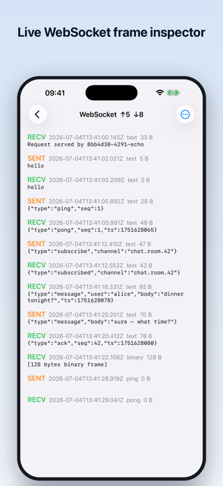 Http traffic capture Screenshot 4 of 7
