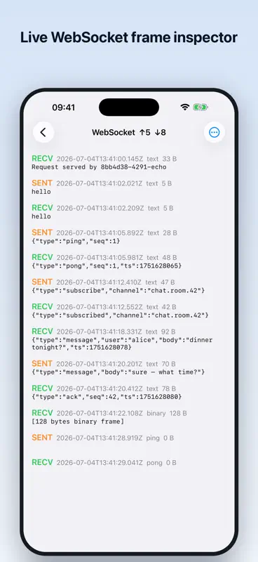 Http traffic capture screenshot 4 of 7