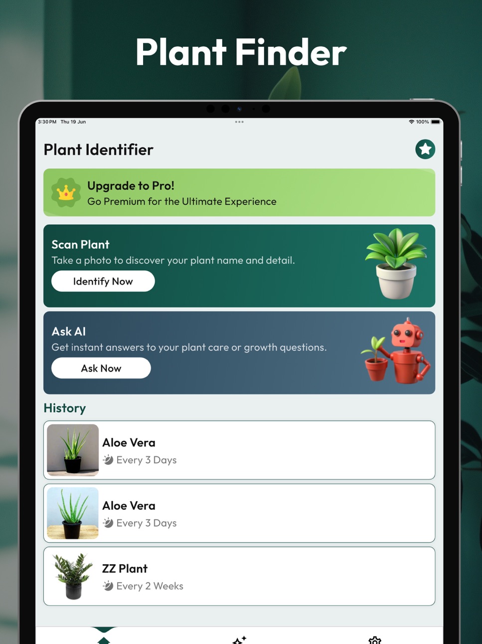 iPad screenshot
